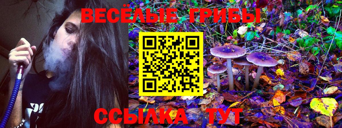 Галлюциногенные грибы Magic Shrooms  Вход с VPN  Павлово  продажа наркотиков  Галлюциногенные грибы мицелий 
