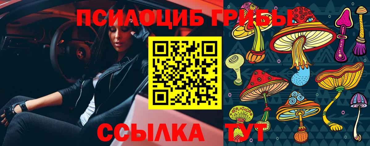 Галлюциногенные грибы ЛСД Павлово