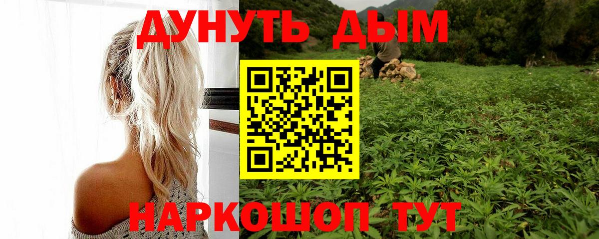 Канабис ГИДРОПОН Павлово